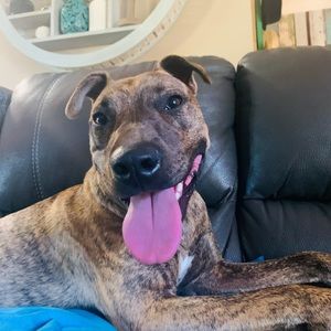 Meet your Posher, Mignot